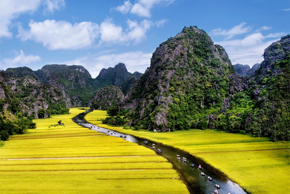 tam coc