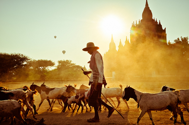 Rejser til Myanmar | Culture Adventure