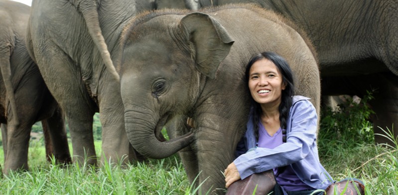 Lek Chailert - Elephant Nature Park med en af hendes mange lykkelige elefanter
