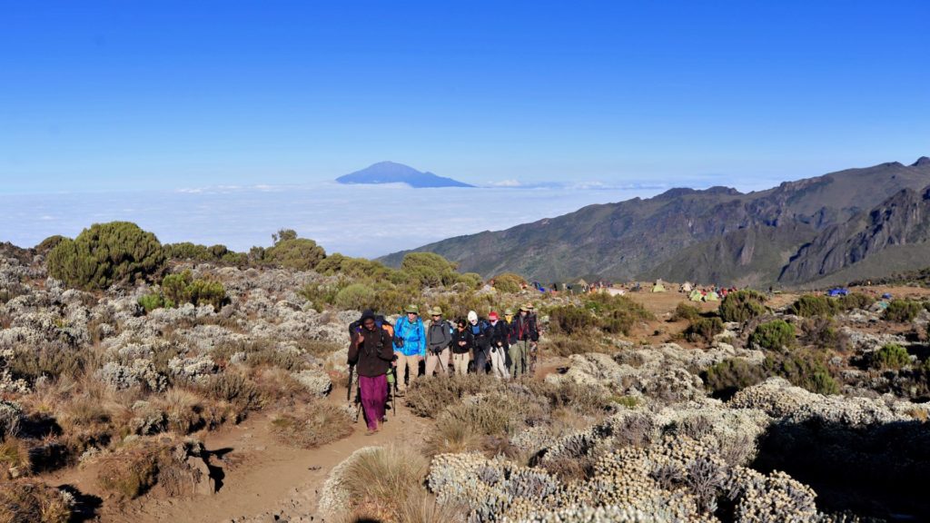 Kilimanjaro shira Machame