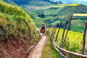 Mai Chau